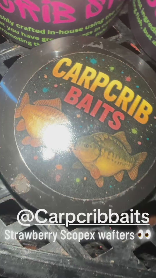 CARPCRIB SPECIALS strawberry Scopex